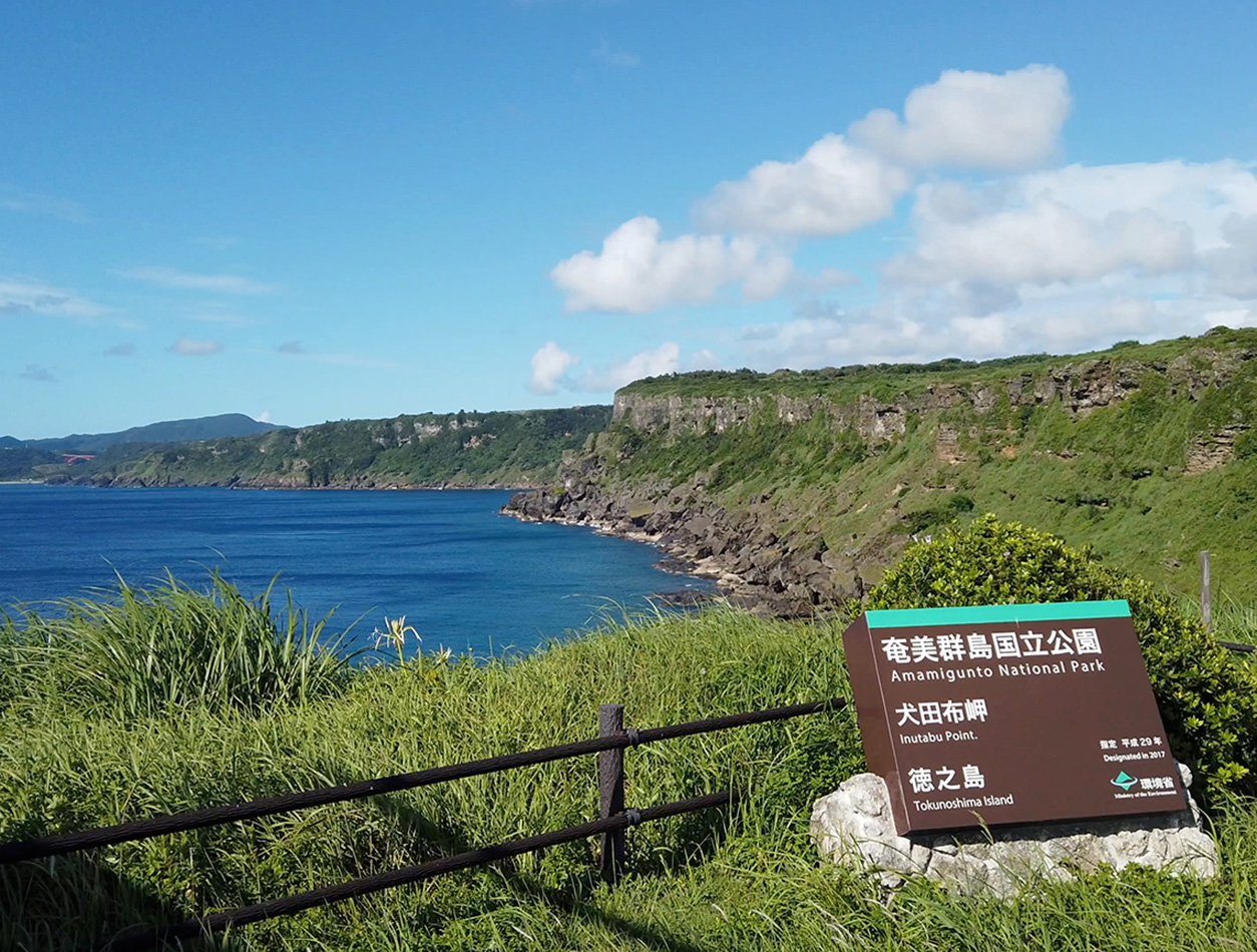 徳之島