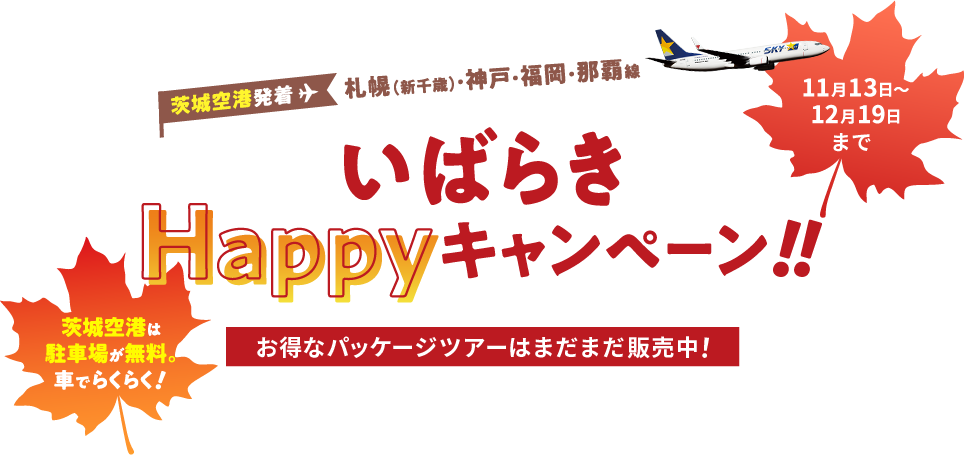 公式 スカイマーク Skymark 航空券予約 空席照会 運賃一覧 国内線