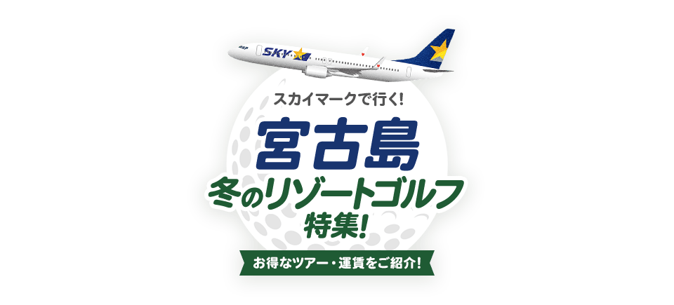 公式 スカイマーク Skymark 航空券予約 空席照会 運賃一覧 国内線